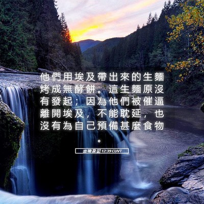 Picture 05 - 出 埃 及 記 12:39 CUVT - 他 們 用 埃 及 帶 出 來 的 生 麵 烤 - Bible Verse Picture