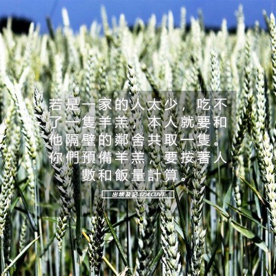 Picture 05 - 出 埃 及 記 12:4 CUVT - 若 是 一 家 的 人 太 少 ， 吃 不 了 - Bible Verse Picture