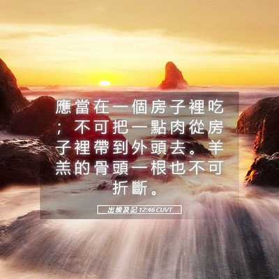 Picture 05 - 出 埃 及 記 12:46 CUVT - 應 當 在 一 個 房 子 裡 吃 ； 不 可 - Bible Verse Picture