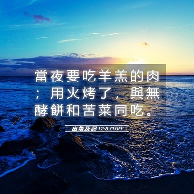Picture 05 - 出 埃 及 記 12:8 CUVT - 當 夜 要 吃 羊 羔 的 肉 ； 用 火 烤 - Bible Verse Picture