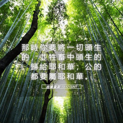 Picture 05 - 出 埃 及 記 13:12 CUVT - 那 時 你 要 將 一 切 頭 生 的 ， 並 - Bible Verse Picture
