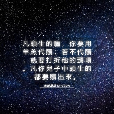 Picture 05 - 出 埃 及 記 13:13 CUVT - 凡 頭 生 的 驢 ， 你 要 用 羊 羔 代 - Bible Verse Picture