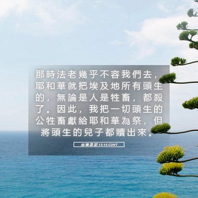 Picture 05 - 出 埃 及 記 13:15 CUVT - 那 時 法 老 幾 乎 不 容 我 們 去 ， - Bible Verse Picture
