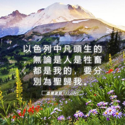 Picture 05 - 出 埃 及 記 13:2 CUVT - 以 色 列 中 凡 頭 生 的 ， 無 論 是 - Bible Verse Picture