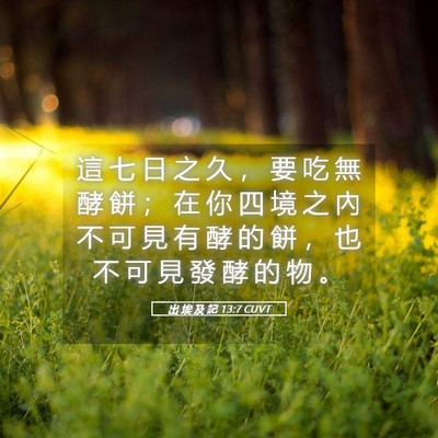 Picture 05 - 出 埃 及 記 13:7 CUVT - 這 七 日 之 久 ， 要 吃 無 酵 餅 ； - Bible Verse Picture
