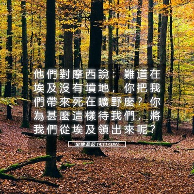 Picture 05 - 出 埃 及 記 14:11 CUVT - 他 們 對 摩 西 說 ： 難 道 在 埃 及 - Bible Verse Picture