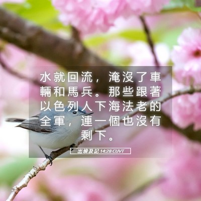 Picture 05 - 出 埃 及 記 14:28 CUVT - 水 就 回 流 ， 淹 沒 了 車 輛 和 馬 - Bible Verse Picture