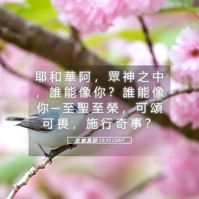 Picture 05 - 出 埃 及 記 15:11 CUVT - 耶 和 華 阿 ， 眾 神 之 中 ， 誰 能 - Bible Verse Picture