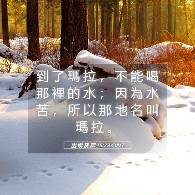 Picture 05 - 出 埃 及 記 15:23 CUVT - 到 了 瑪 拉 ， 不 能 喝 那 裡 的 水 - Bible Verse Picture