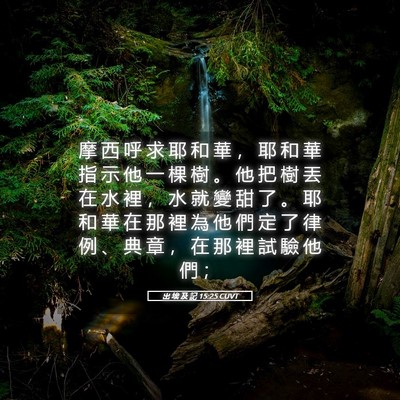 Picture 05 - 出 埃 及 記 15:25 CUVT - 摩 西 呼 求 耶 和 華 ， 耶 和 華 指 - Bible Verse Picture