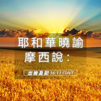 Picture 05 - 出 埃 及 記 16:11 CUVT - 耶 和 華 曉 諭 摩 西 說 - Bible Verse Picture