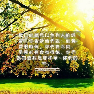 Picture 05 - 出 埃 及 記 16:12 CUVT - 我 已 經 聽 見 以 色 列 人 的 怨 言 - Bible Verse Picture