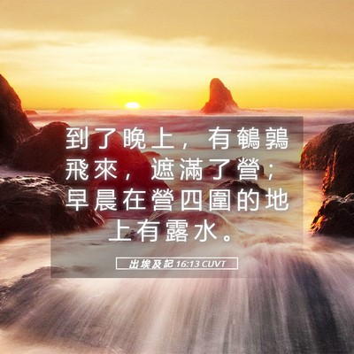 Picture 05 - 出 埃 及 記 16:13 CUVT - 到 了 晚 上 ， 有 鵪 鶉 飛 來 ， 遮 - Bible Verse Picture