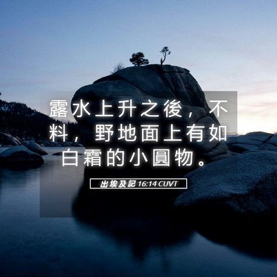 Picture 05 - 出 埃 及 記 16:14 CUVT - 露 水 上 升 之 後 ， 不 料 ， 野 地 - Bible Verse Picture