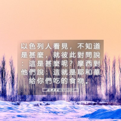 Picture 05 - 出 埃 及 記 16:15 CUVT - 以 色 列 人 看 見 ， 不 知 道 是 甚 - Bible Verse Picture