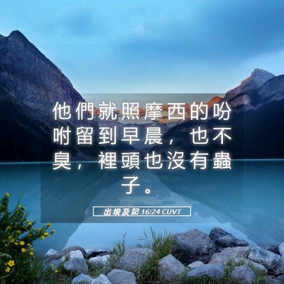 Picture 05 - 出 埃 及 記 16:24 CUVT - 他 們 就 照 摩 西 的 吩 咐 留 到 早 - Bible Verse Picture