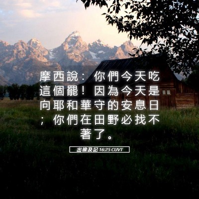 Picture 05 - 出 埃 及 記 16:25 CUVT - 摩 西 說 ： 你 們 今 天 吃 這 個 罷 - Bible Verse Picture