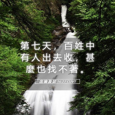 Picture 05 - 出 埃 及 記 16:27 CUVT - 第 七 天 ， 百 姓 中 有 人 出 去 收 - Bible Verse Picture
