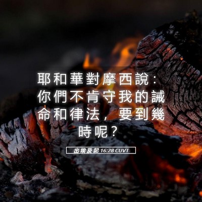 Picture 05 - 出 埃 及 記 16:28 CUVT - 耶 和 華 對 摩 西 說 ： 你 們 不 肯 - Bible Verse Picture