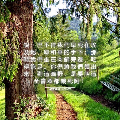Picture 05 - 出 埃 及 記 16:3 CUVT - 說 ： 巴 不 得 我 們 早 死 在 埃 及 - Bible Verse Picture