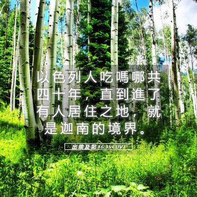 Picture 05 - 出 埃 及 記 16:35 CUVT - 以 色 列 人 吃 嗎 哪 共 四 十 年 ， - Bible Verse Picture