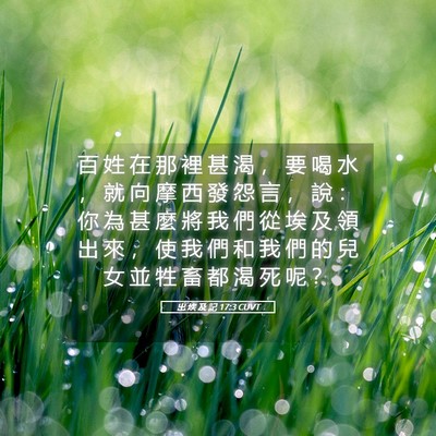 Picture 05 - 出 埃 及 記 17:3 CUVT - 百 姓 在 那 裡 甚 渴 ， 要 喝 水 ， - Bible Verse Picture