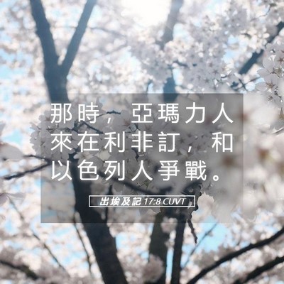 Picture 05 - 出 埃 及 記 17:8 CUVT - 那 時 ， 亞 瑪 力 人 來 在 利 非 訂 - Bible Verse Picture
