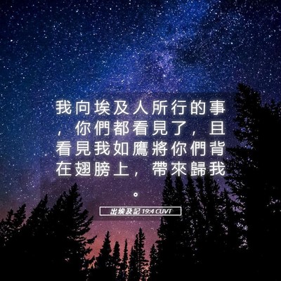 Picture 05 - 出 埃 及 記 19:4 CUVT - 我 向 埃 及 人 所 行 的 事 ， 你 們 - Bible Verse Picture