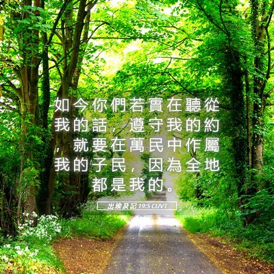 Picture 05 - 出 埃 及 記 19:5 CUVT - 如 今 你 們 若 實 在 聽 從 我 的 話 - Bible Verse Picture