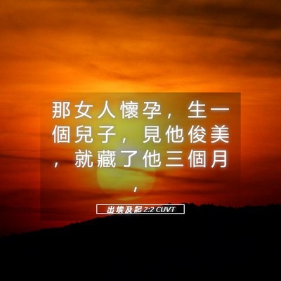 Picture 05 - 出 埃 及 記 2:2 CUVT - 那 女 人 懷 孕 ， 生 一 個 兒 子 ， - Bible Verse Picture