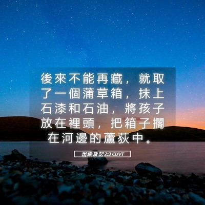 Picture 05 - 出 埃 及 記 2:3 CUVT - 後 來 不 能 再 藏 ， 就 取 了 一 個 - Bible Verse Picture