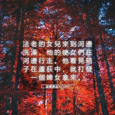 Picture 05 - 出 埃 及 記 2:5 CUVT - 法 老 的 女 兒 來 到 河 邊 洗 澡 ， - Bible Verse Picture