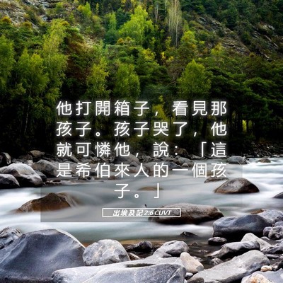 Picture 05 - 出 埃 及 記 2:6 CUVT - 他 打 開 箱 子 ， 看 見 那 孩 子 。 - Bible Verse Picture