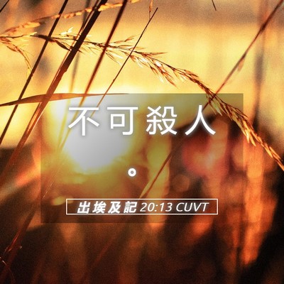 Picture 05 - 出 埃 及 記 20:13 CUVT - 不 可 殺 人 - Bible Verse Picture