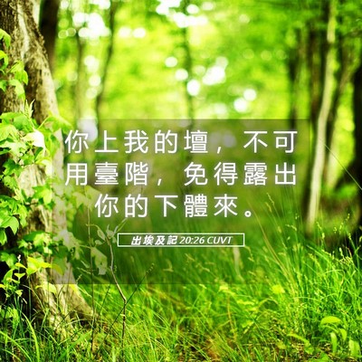 Picture 05 - 出 埃 及 記 20:26 CUVT - 你 上 我 的 壇 ， 不 可 用 臺 階 ， - Bible Verse Picture