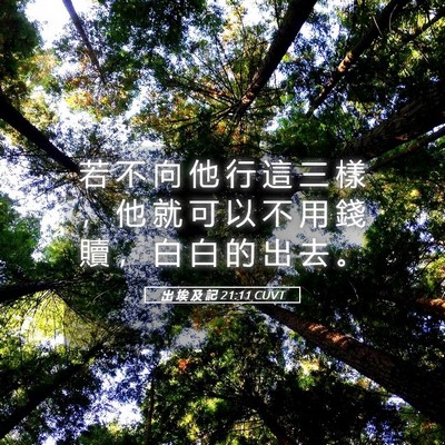 Picture 05 - 出 埃 及 記 21:11 CUVT - 若 不 向 他 行 這 三 樣 ， 他 就 可 - Bible Verse Picture
