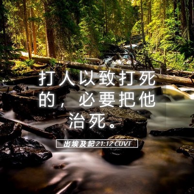 Picture 05 - 出 埃 及 記 21:12 CUVT - 打 人 以 致 打 死 的 ， 必 要 把 他 - Bible Verse Picture