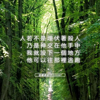 Picture 05 - 出 埃 及 記 21:13 CUVT - 人 若 不 是 埋 伏 著 殺 人 ， 乃 是 - Bible Verse Picture