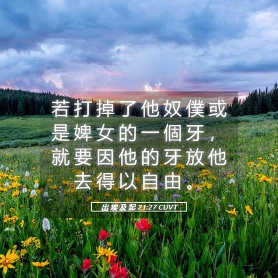 Picture 05 - 出 埃 及 記 21:27 CUVT - 若 打 掉 了 他 奴 僕 或 是 婢 女 的 - Bible Verse Picture