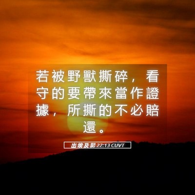 Picture 05 - 出 埃 及 記 22:13 CUVT - 若 被 野 獸 撕 碎 ， 看 守 的 要 帶 - Bible Verse Picture