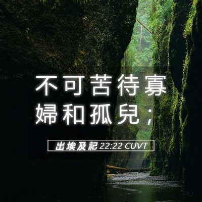 Picture 05 - 出 埃 及 記 22:22 CUVT - 不 可 苦 待 寡 婦 和 孤 兒 - Bible Verse Picture