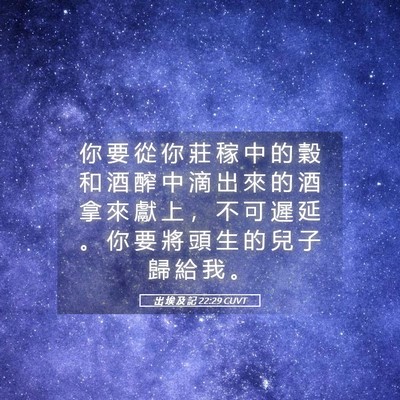 Picture 05 - 出 埃 及 記 22:29 CUVT - 你 要 從 你 莊 稼 中 的 穀 和 酒 醡 - Bible Verse Picture