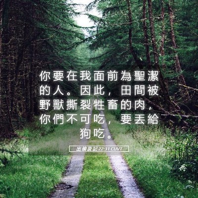 Picture 05 - 出 埃 及 記 22:31 CUVT - 你 要 在 我 面 前 為 聖 潔 的 人 。 - Bible Verse Picture