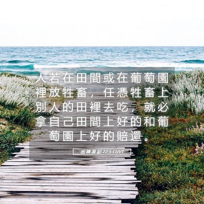Picture 05 - 出 埃 及 記 22:5 CUVT - 人 若 在 田 間 或 在 葡 萄 園 裡 放 - Bible Verse Picture