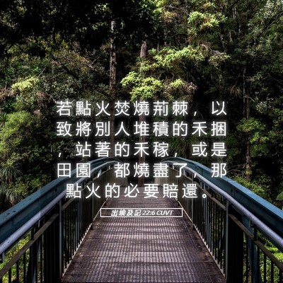 Picture 05 - 出 埃 及 記 22:6 CUVT - 若 點 火 焚 燒 荊 棘 ， 以 致 將 別 - Bible Verse Picture