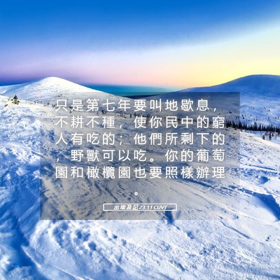 Picture 05 - 出 埃 及 記 23:11 CUVT - 只 是 第 七 年 要 叫 地 歇 息 ， 不 - Bible Verse Picture