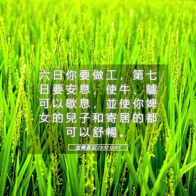Picture 05 - 出 埃 及 記 23:12 CUVT - 六 日 你 要 做 工 ， 第 七 日 要 安 - Bible Verse Picture