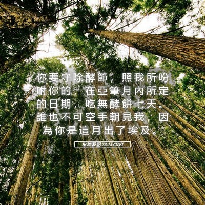 Picture 05 - 出 埃 及 記 23:15 CUVT - 你 要 守 除 酵 節 ， 照 我 所 吩 咐 - Bible Verse Picture