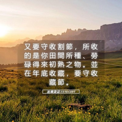 Picture 05 - 出 埃 及 記 23:16 CUVT - 又 要 守 收 割 節 ， 所 收 的 是 你 - Bible Verse Picture