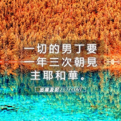 Picture 05 - 出 埃 及 記 23:17 CUVT - 一 切 的 男 丁 要 一 年 三 次 朝 見 - Bible Verse Picture